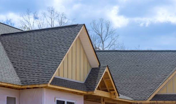 Best Asphalt Shingle Roofing  in Woodlynne, NJ