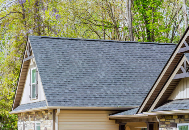 Best Skylight Installation and Repair  in Woodlynne, NJ